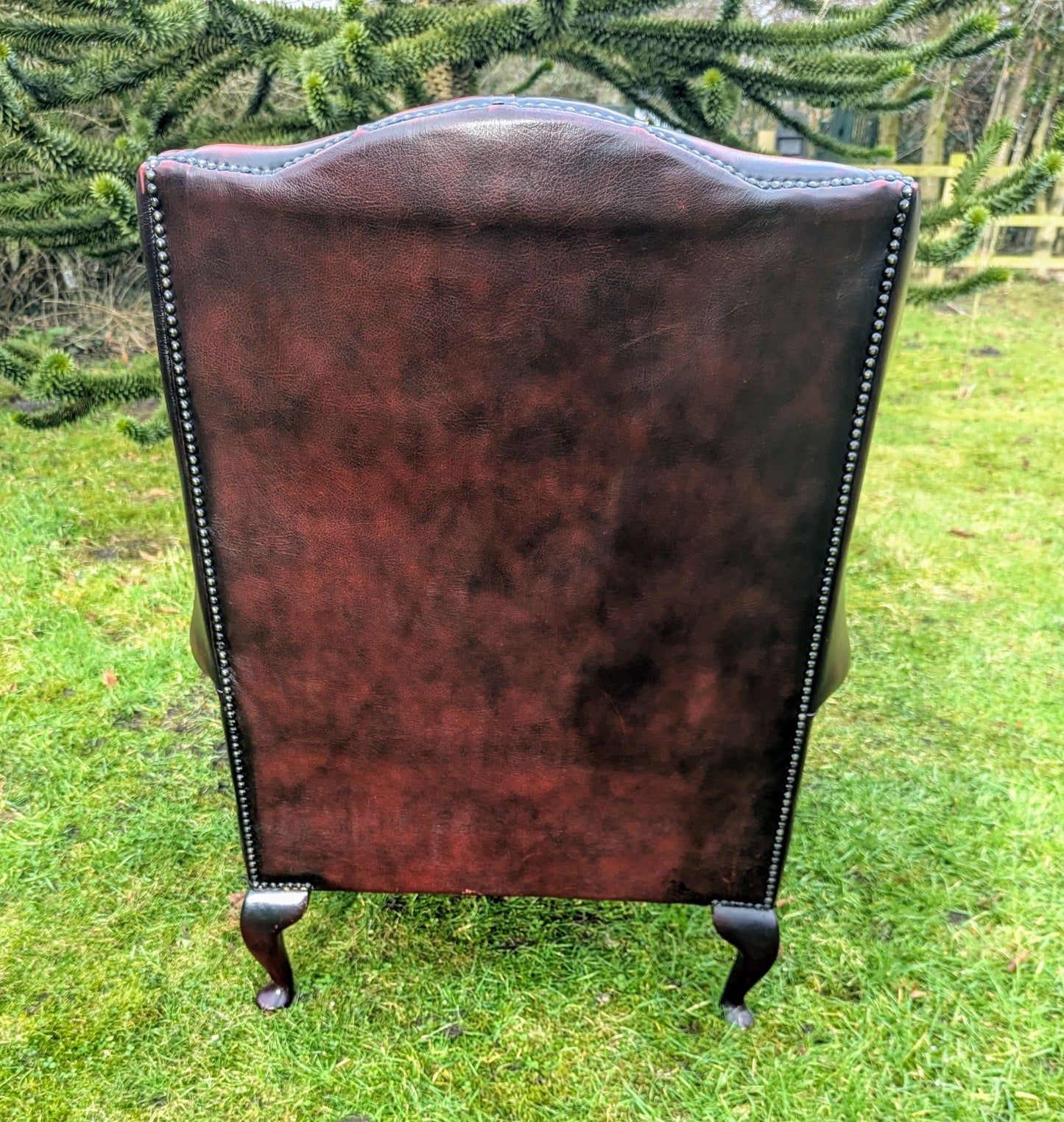 Superb Vintage Oxblood Leather Chesterfield Wingback Armchair UK Delivery Included