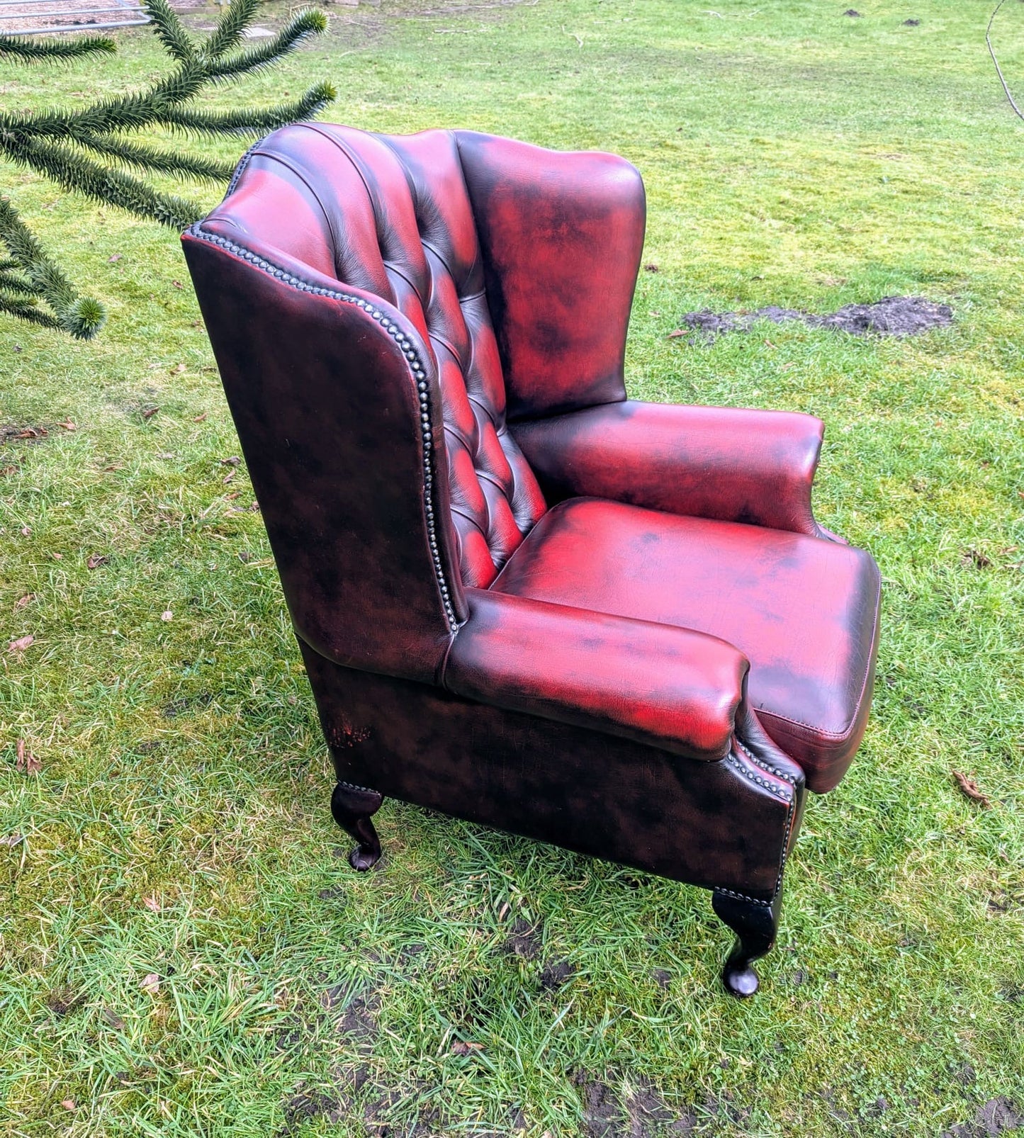 Superb Vintage Oxblood Leather Chesterfield Wingback Armchair UK Delivery Included
