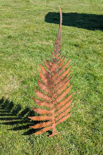 Rustic Patinated Medium Fir Tree - delivery included