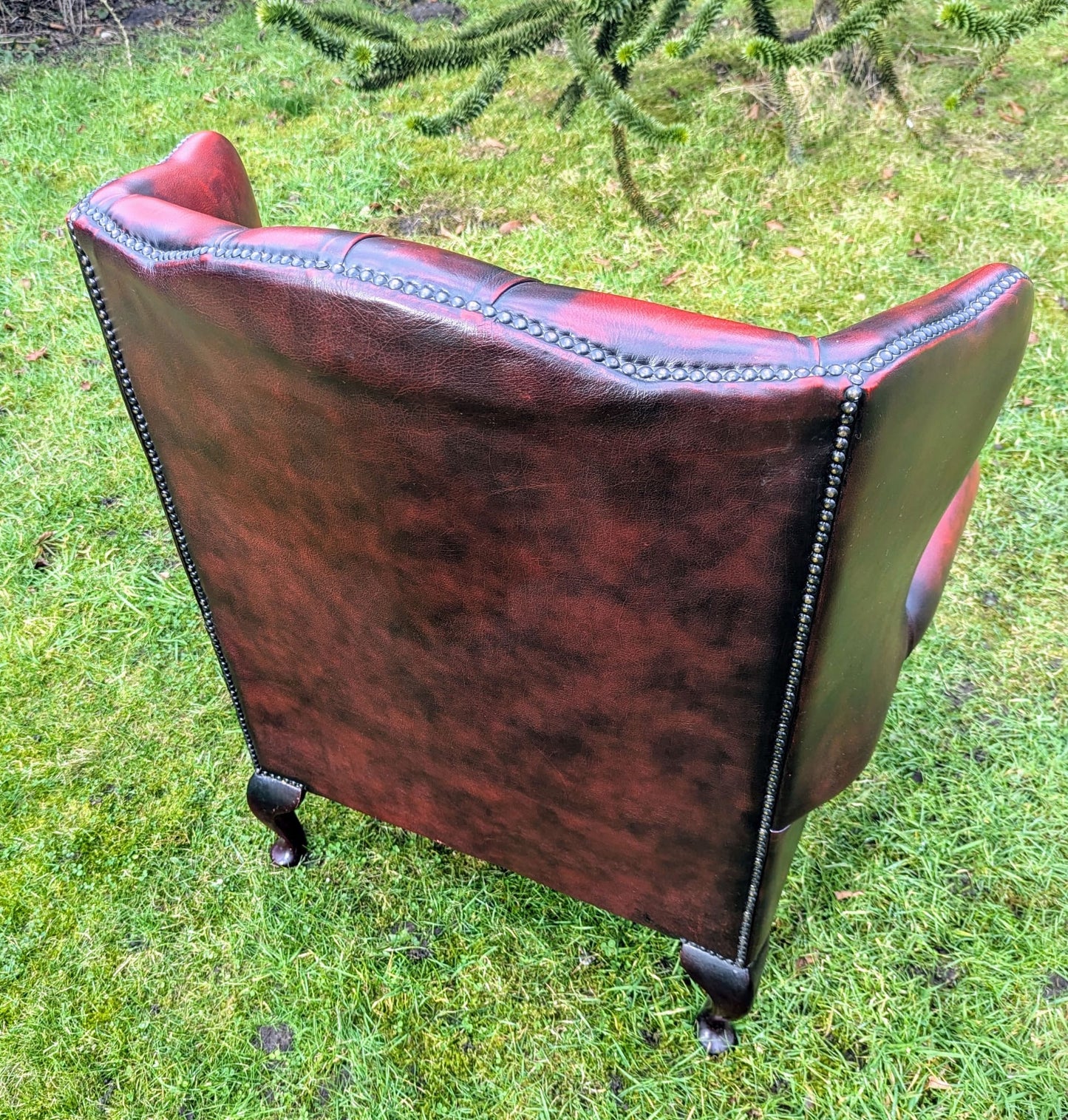 Superb Vintage Oxblood Leather Chesterfield Wingback Armchair UK Delivery Included