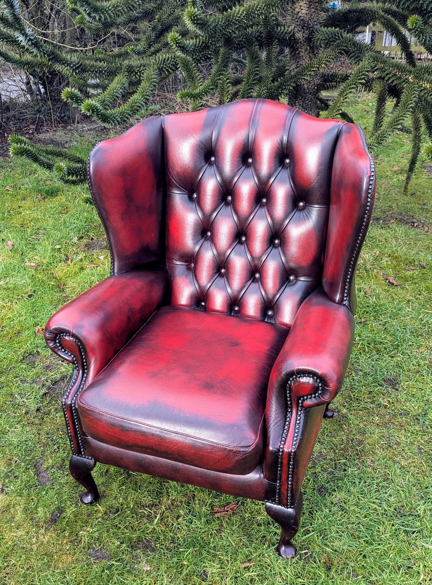 Superb Vintage Oxblood Leather Chesterfield Wingback Armchair UK Delivery Included