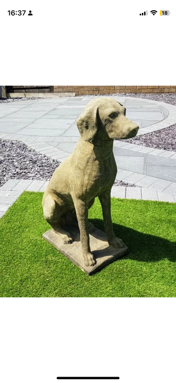 Stone 19th century style Pointer Hunting dog UK Delivery Included