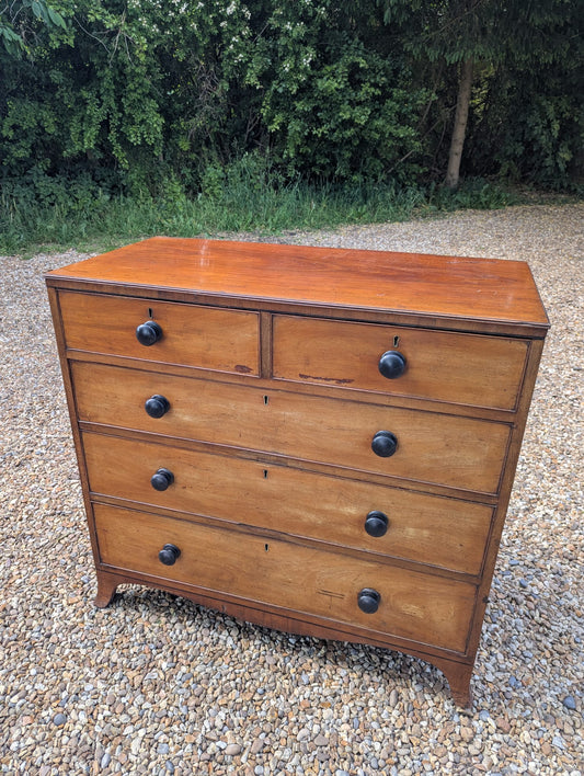 George IV chest of Drawers -  Delivery Available