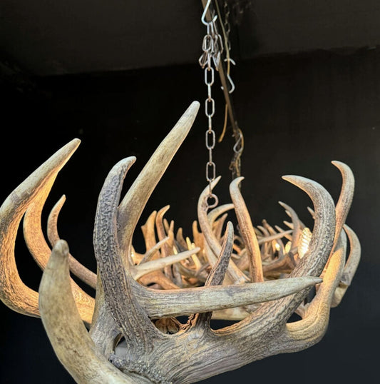Vintage Red deer Antler chandelier 10 Lamps & 3 spot lights - UK delivery available