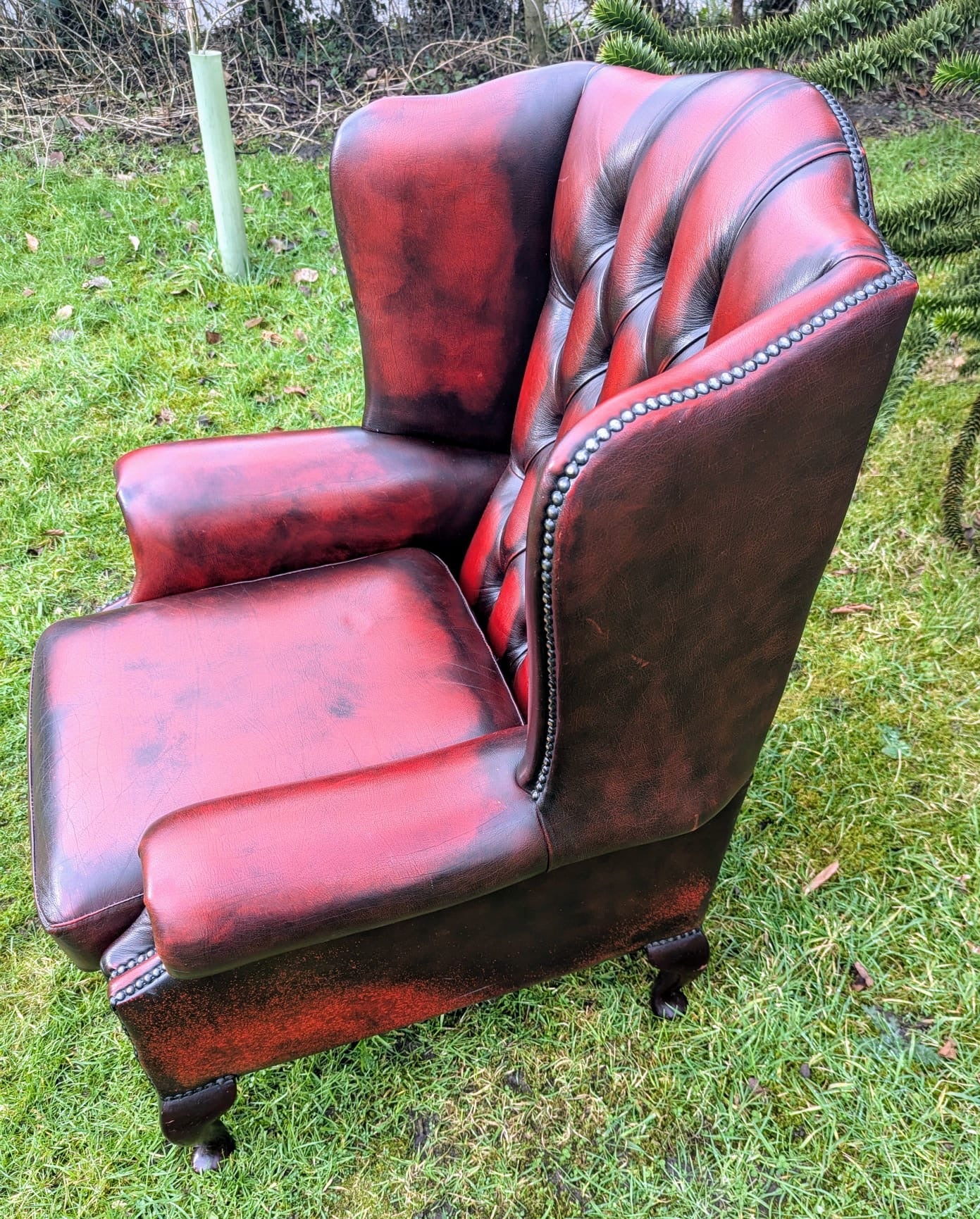 Superb Vintage Oxblood Leather Chesterfield Wingback Armchair UK Delivery Included