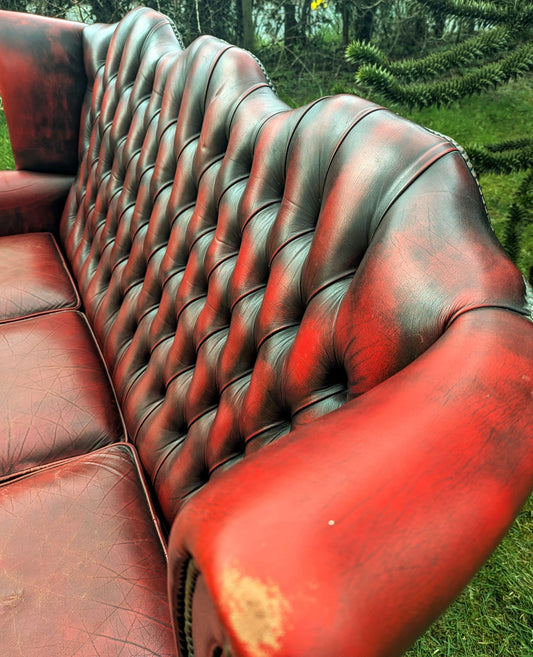 Superb Vintage Oxblood Leather Chesterfield Wingback Sofa -  Delivery Included