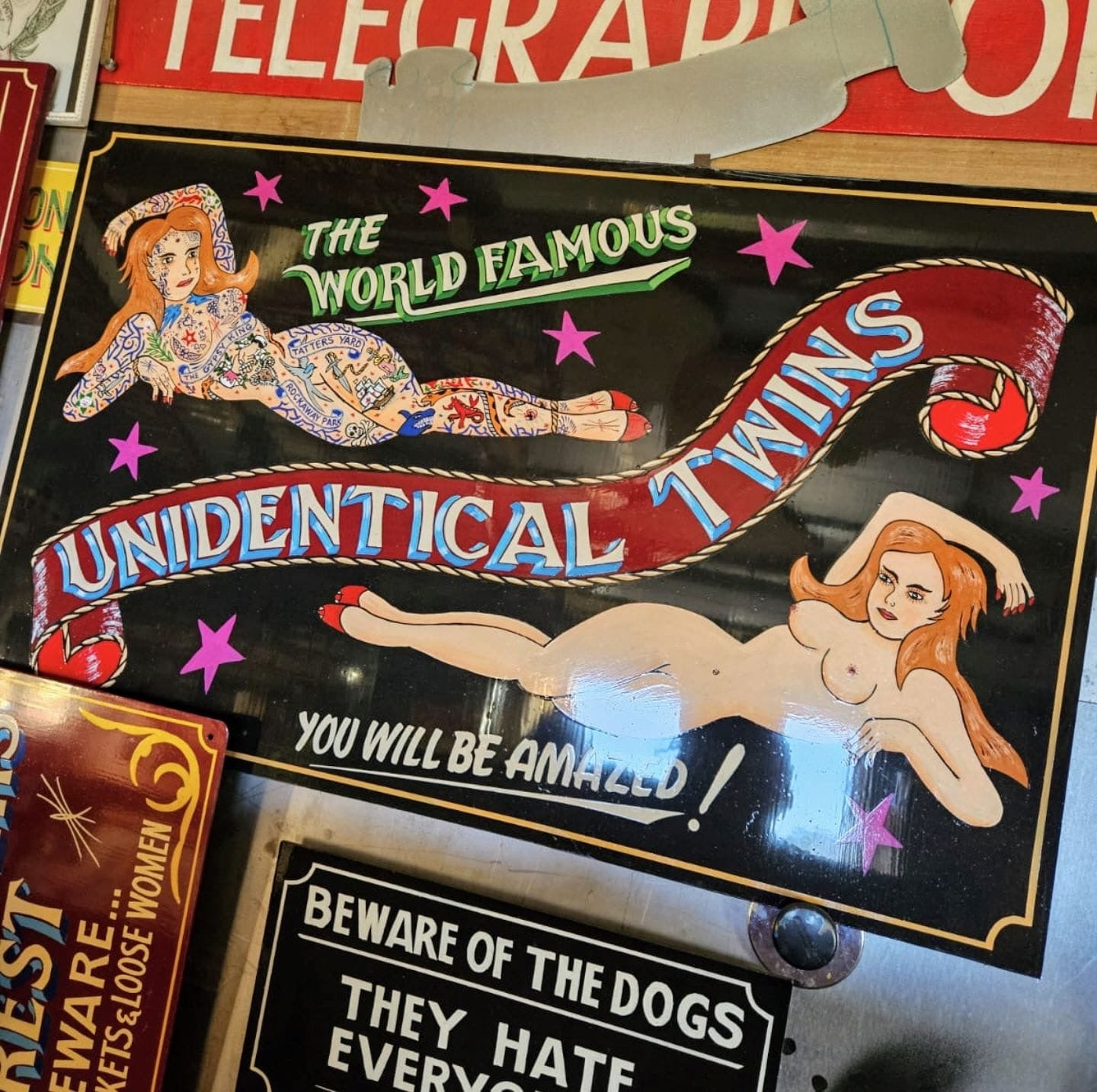 Superb Quality Hand Painted Art Sign, Unidentical Twins - Delivery Included
