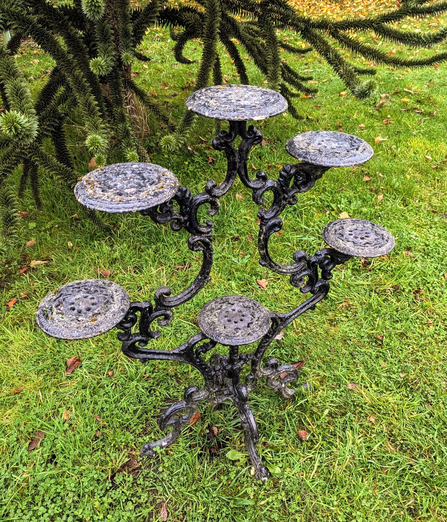 Vintage Victorian Black Cast Iron Six Tier Plant Stand - Free UK Delivery