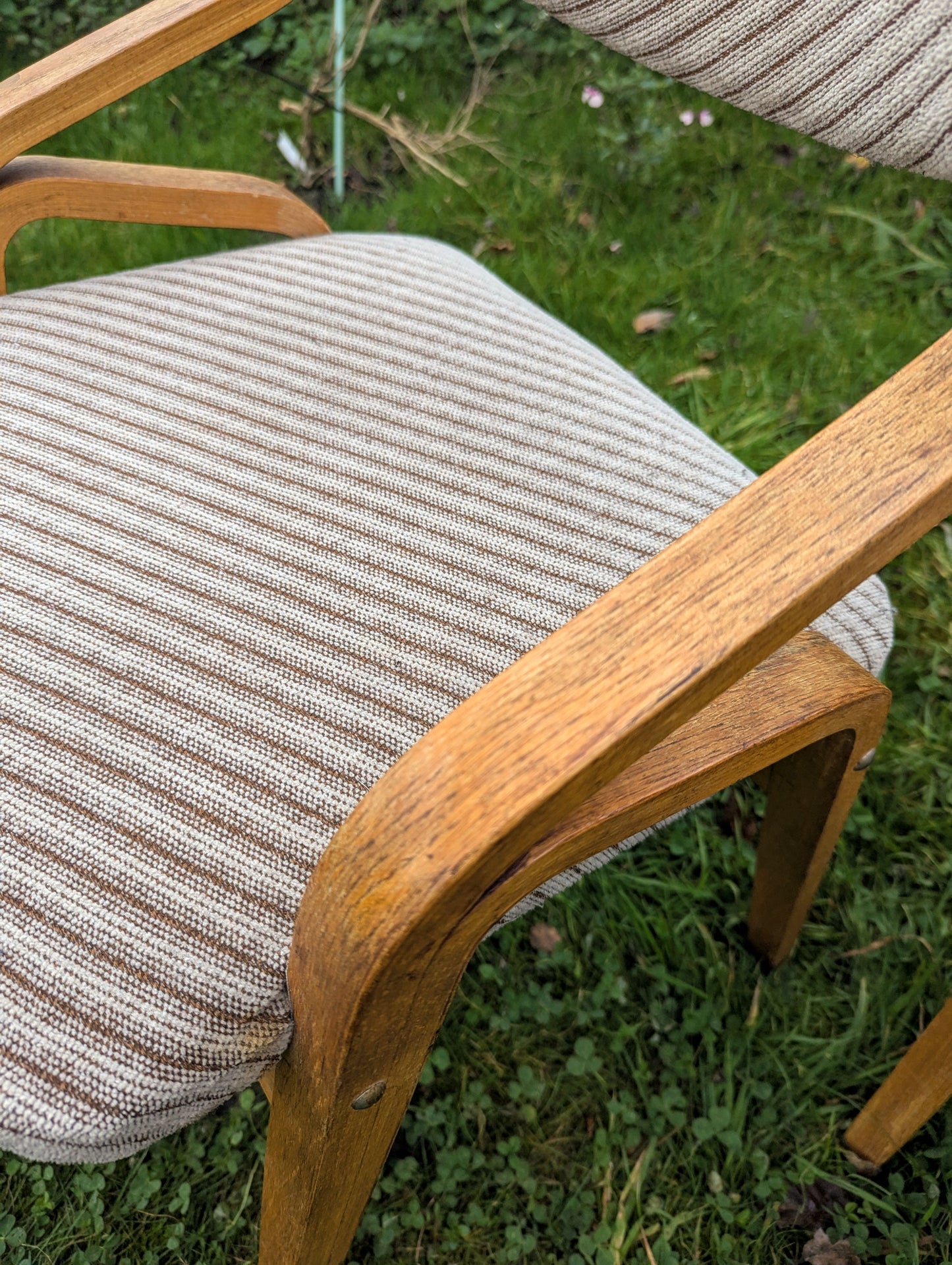 Thonet bentwood chairs Mid 20th century design Radomír Hofman - Free UK Delivery