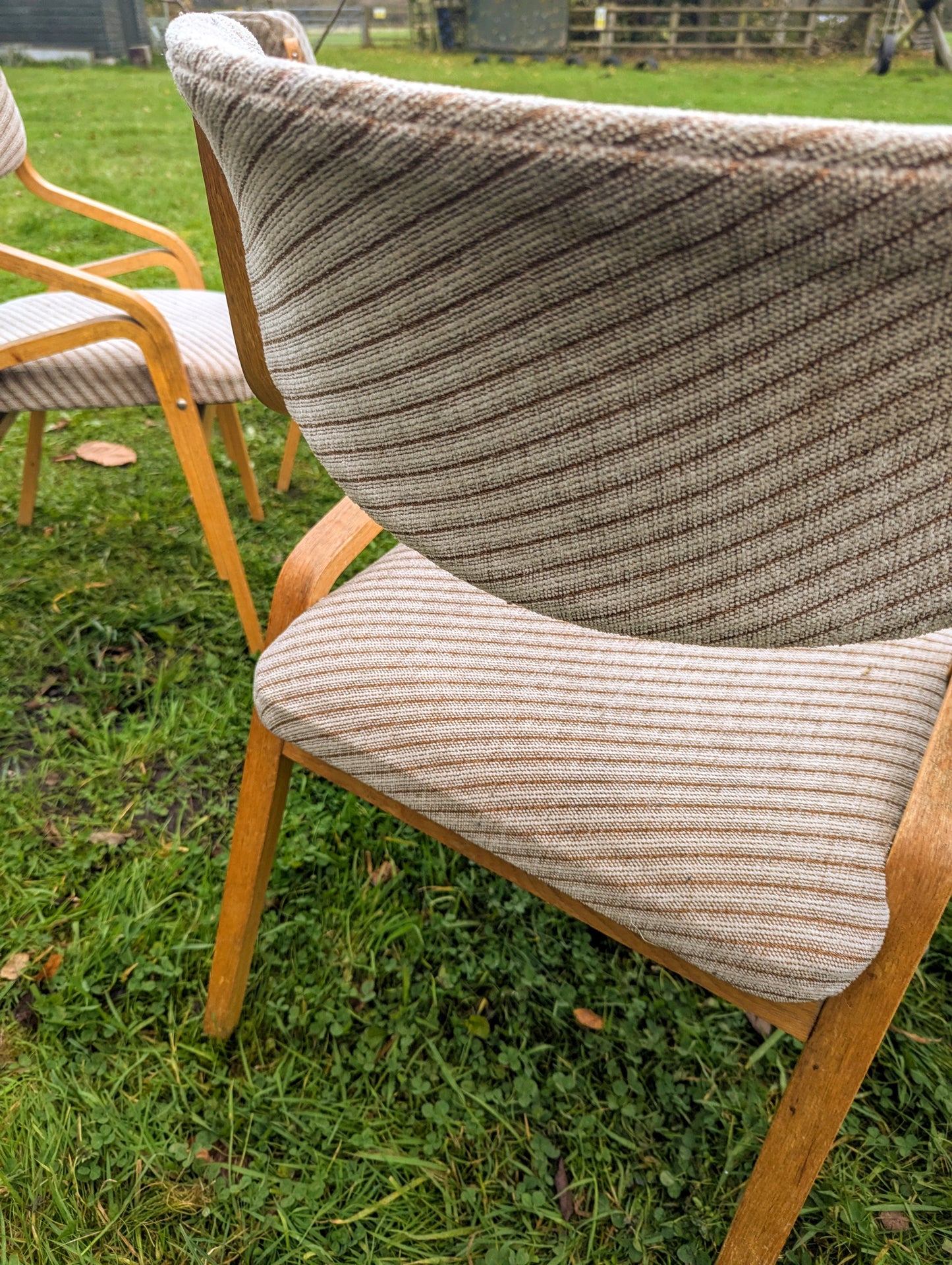 Thonet bentwood chairs Mid 20th century design Radomír Hofman - Free UK Delivery