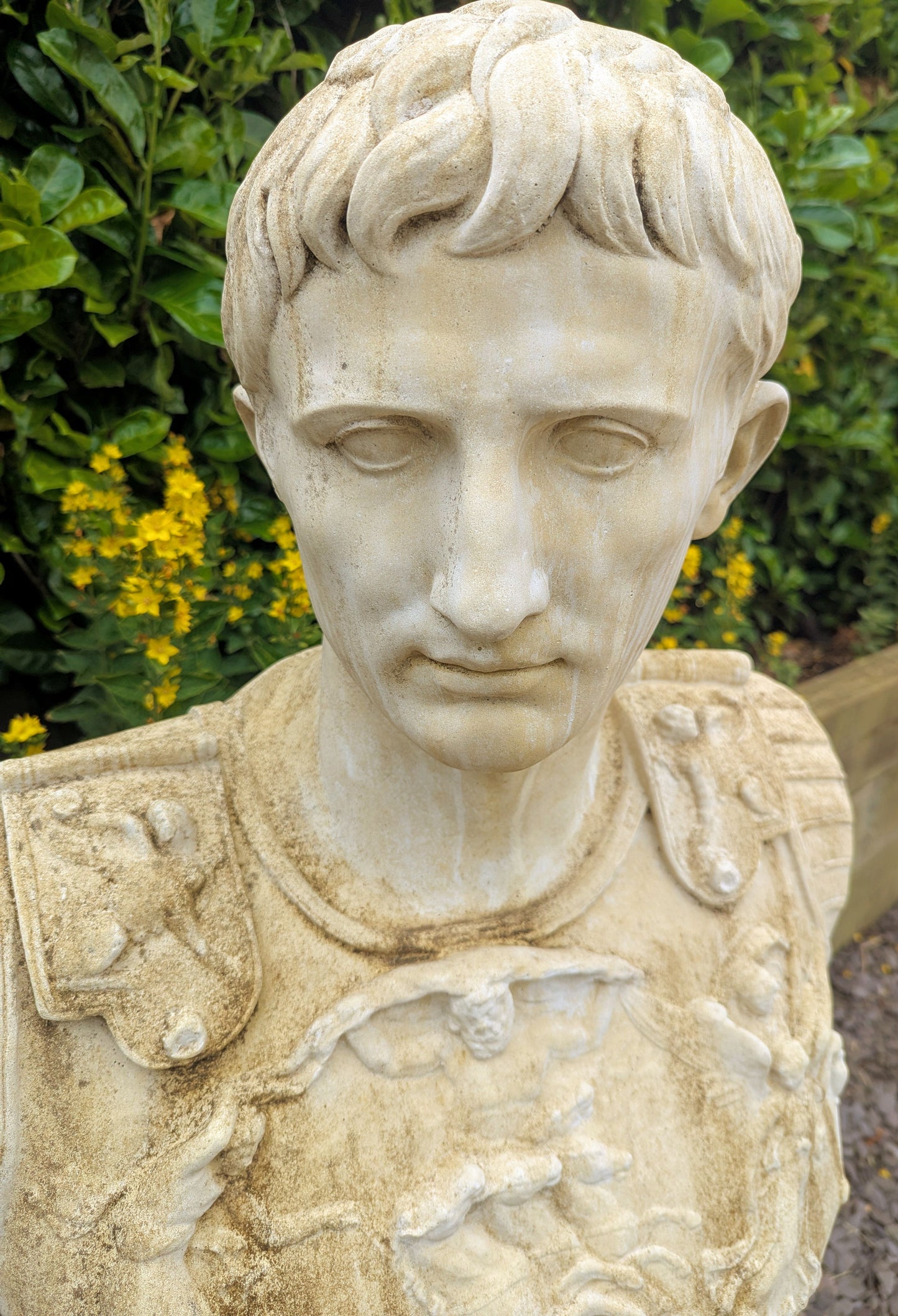 Mid 20th Century Classical Stone Bust Cesar Augustus - UK Delivery Included