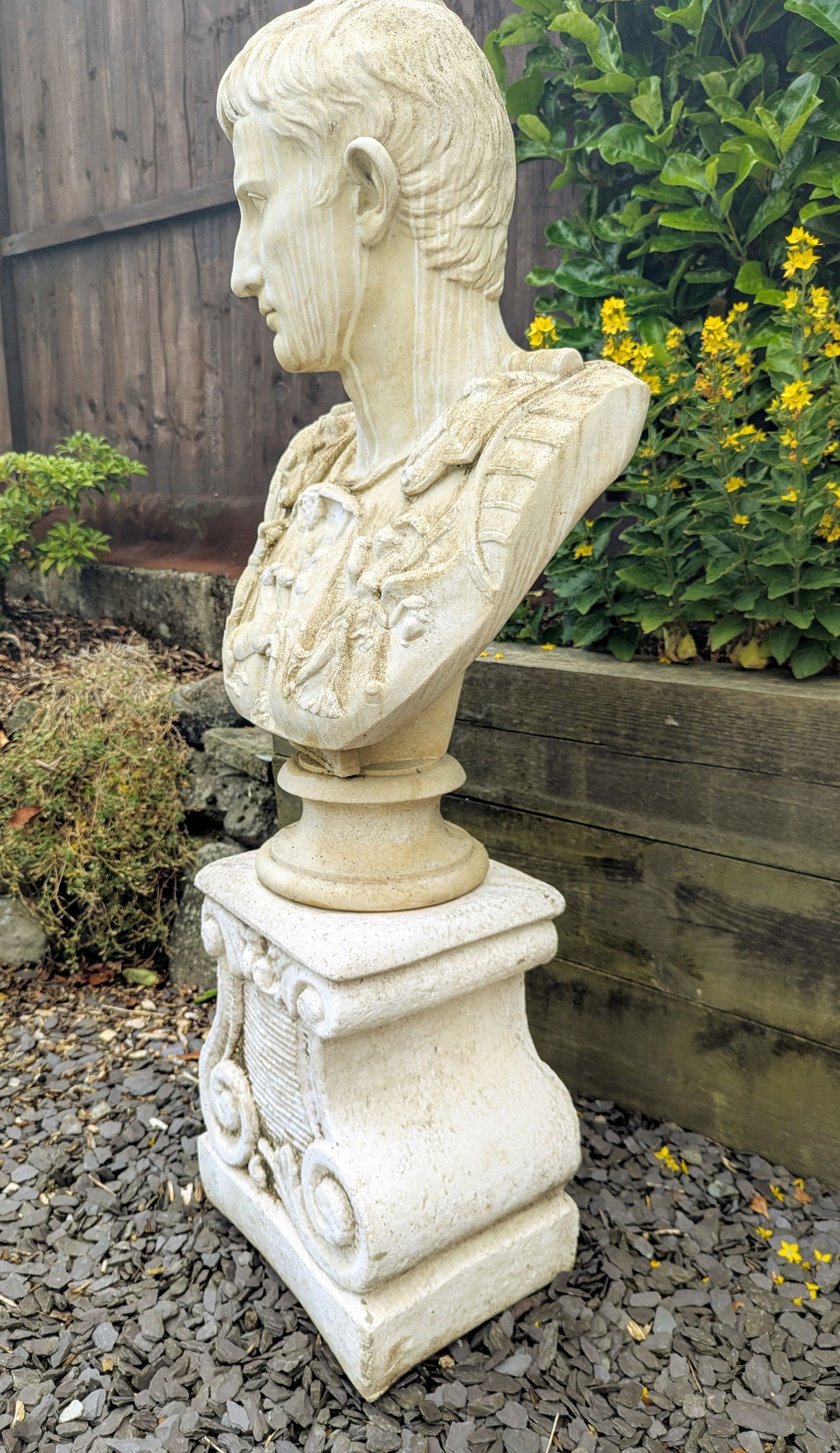 Mid 20th Century Classical Stone Bust Cesar Augustus - UK Delivery Included