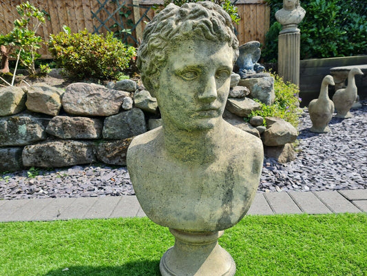 Adonis English Stone garden ornament - Free UK Delivery