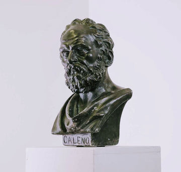 Antique bronzed plaster neoclassical bust - Caleono