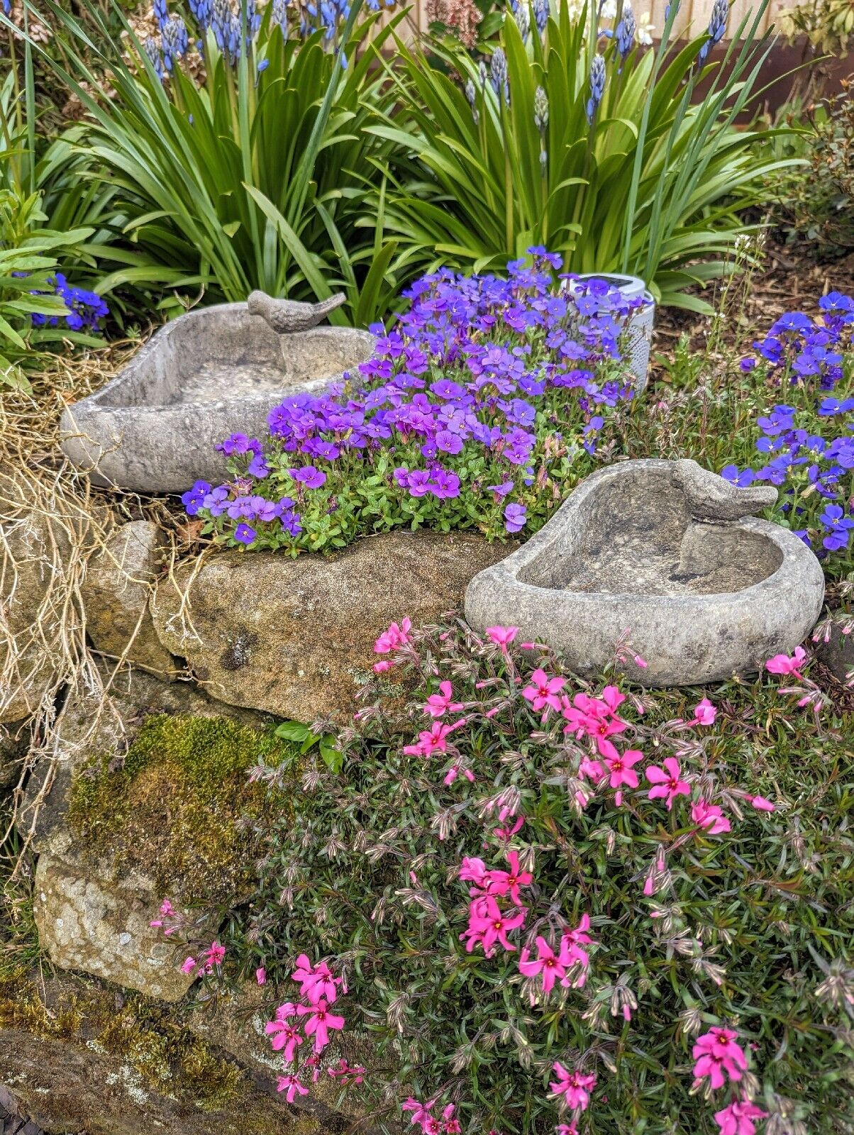 English stone heart bird baths - Free UK Delivery