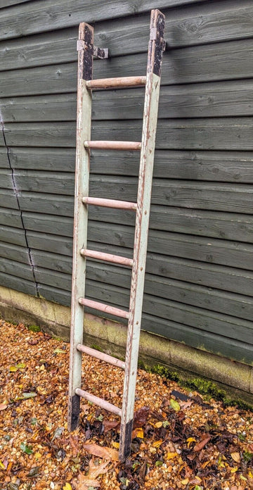 Vintage FRENCH LADDER CIRCA 1950s - Free UK Delivery