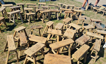RUSTIC ELM