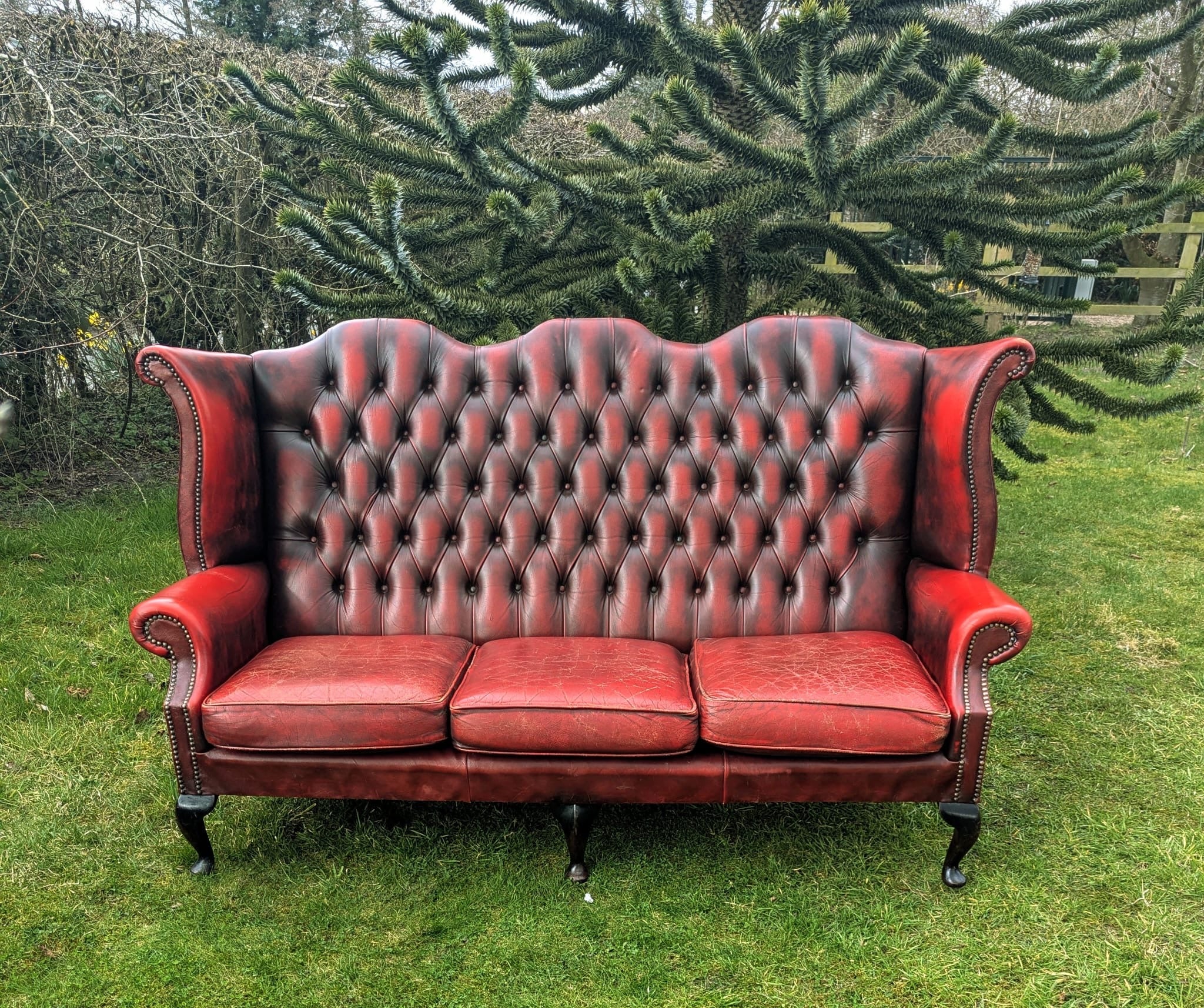 Superb Vintage Oxblood Leather Chesterfield Wingback Sofa -  Delivery Included