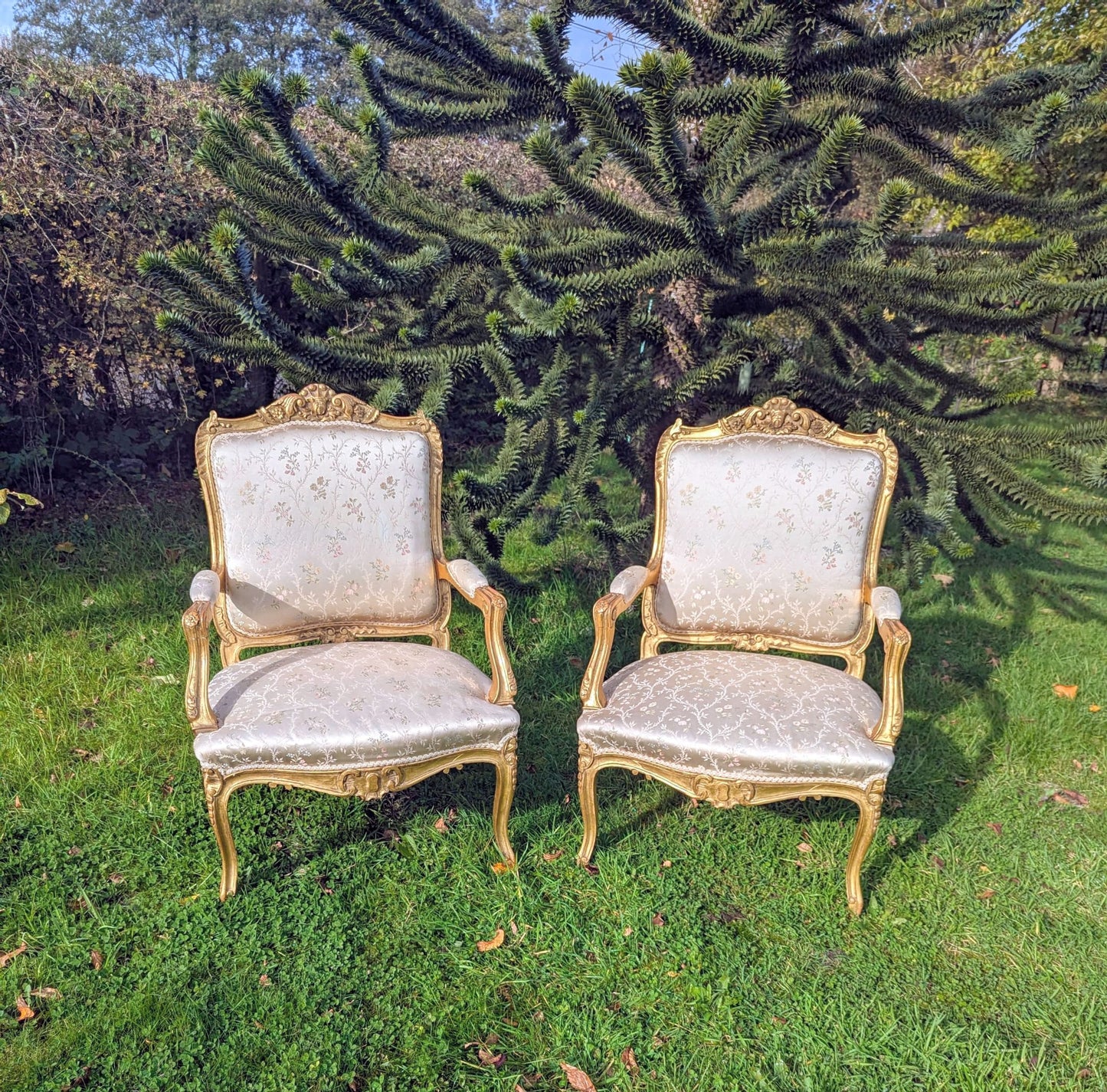 Louis XV style Chairs Silk Floral Upholstery - Delivery Available