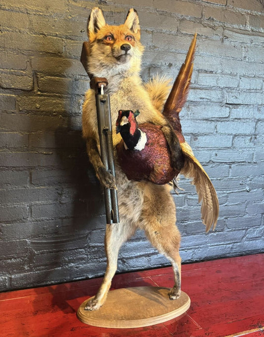 Vintage Mr Fox holding a Pheasant - Delivery available 0294