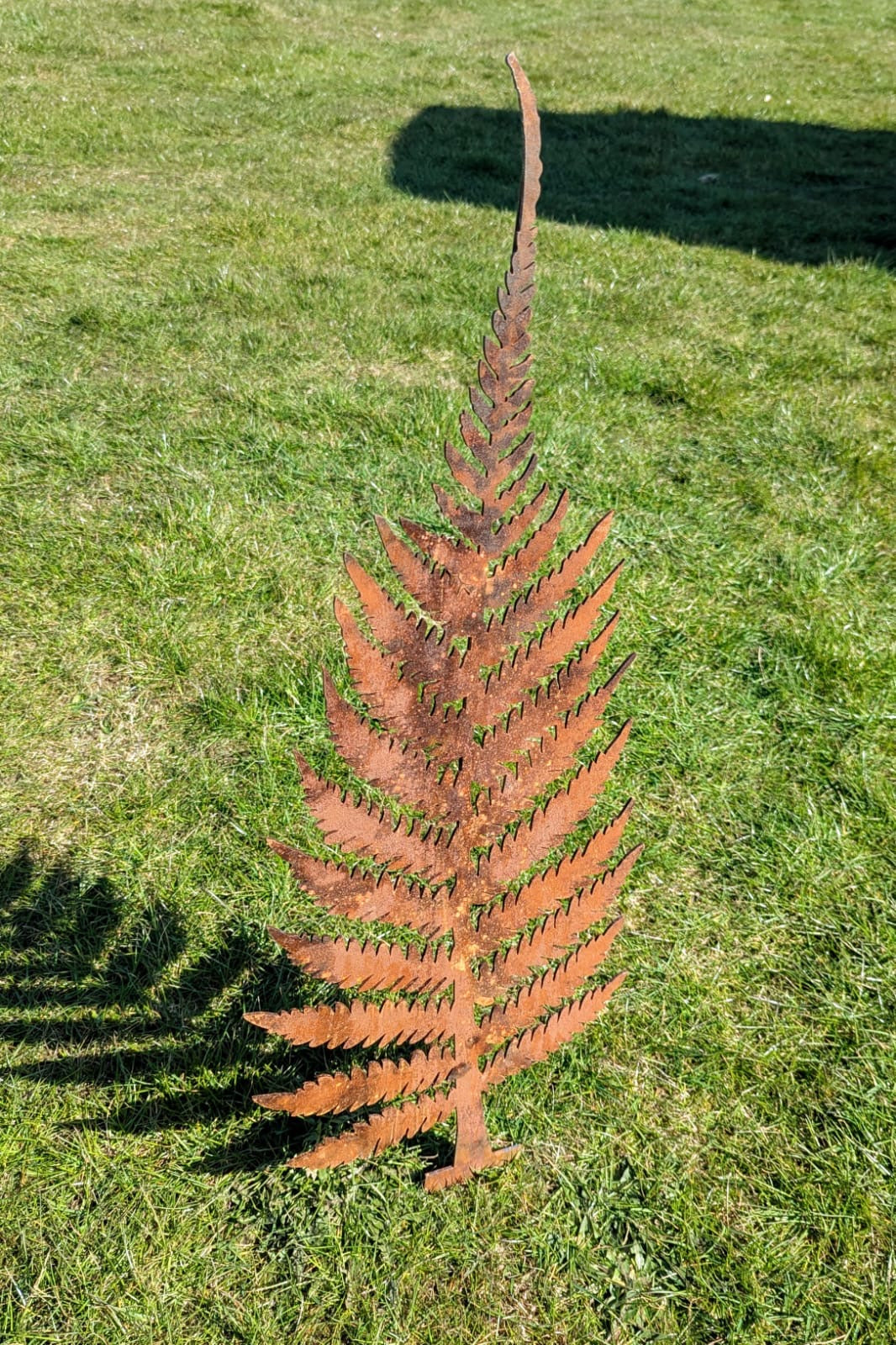 Rustic Patinated Medium Fir Tree - delivery included