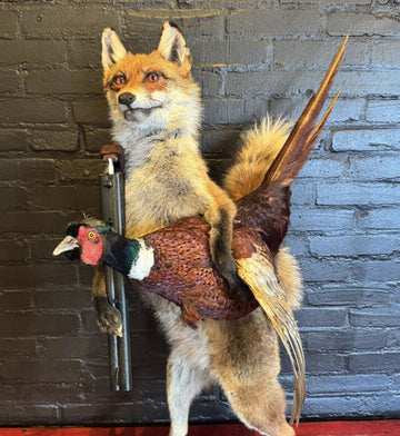 Vintage Mr Fox holding a Pheasant - Delivery available 0294