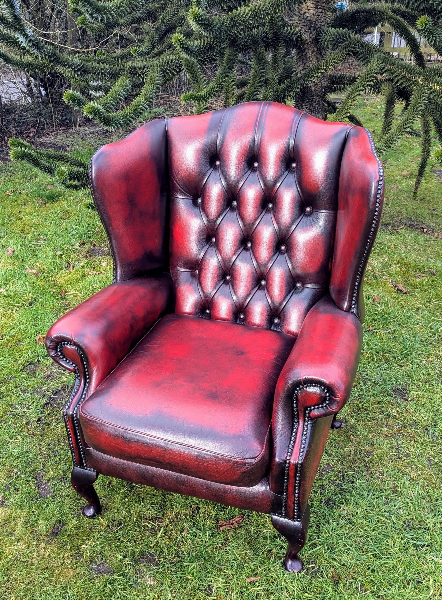 Superb Vintage Oxblood Leather Chesterfield Wingback Armchair Delivery Available