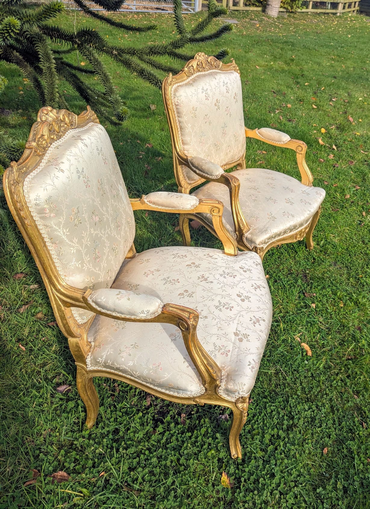 Louis XV style Chairs Silk Floral Upholstery - Delivery Available