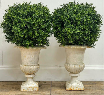 Superb Small Pair English Late 19thc Campana Urns Cast Iron- Free UK Delivery