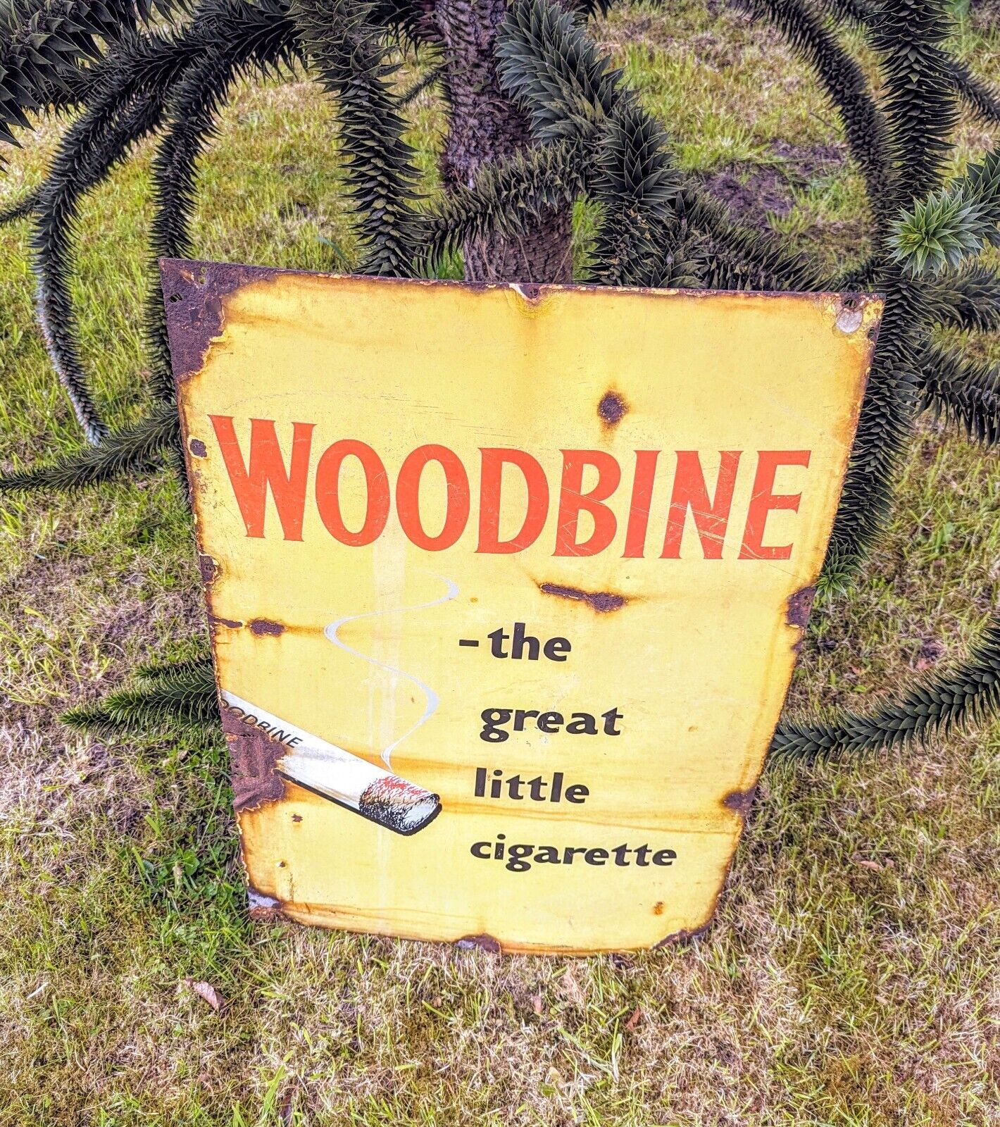Vintage Woodbine Authentic Original Sign - Delivery Available