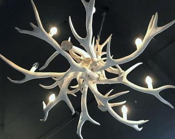 Vintage bleached red deer Antler chandelier