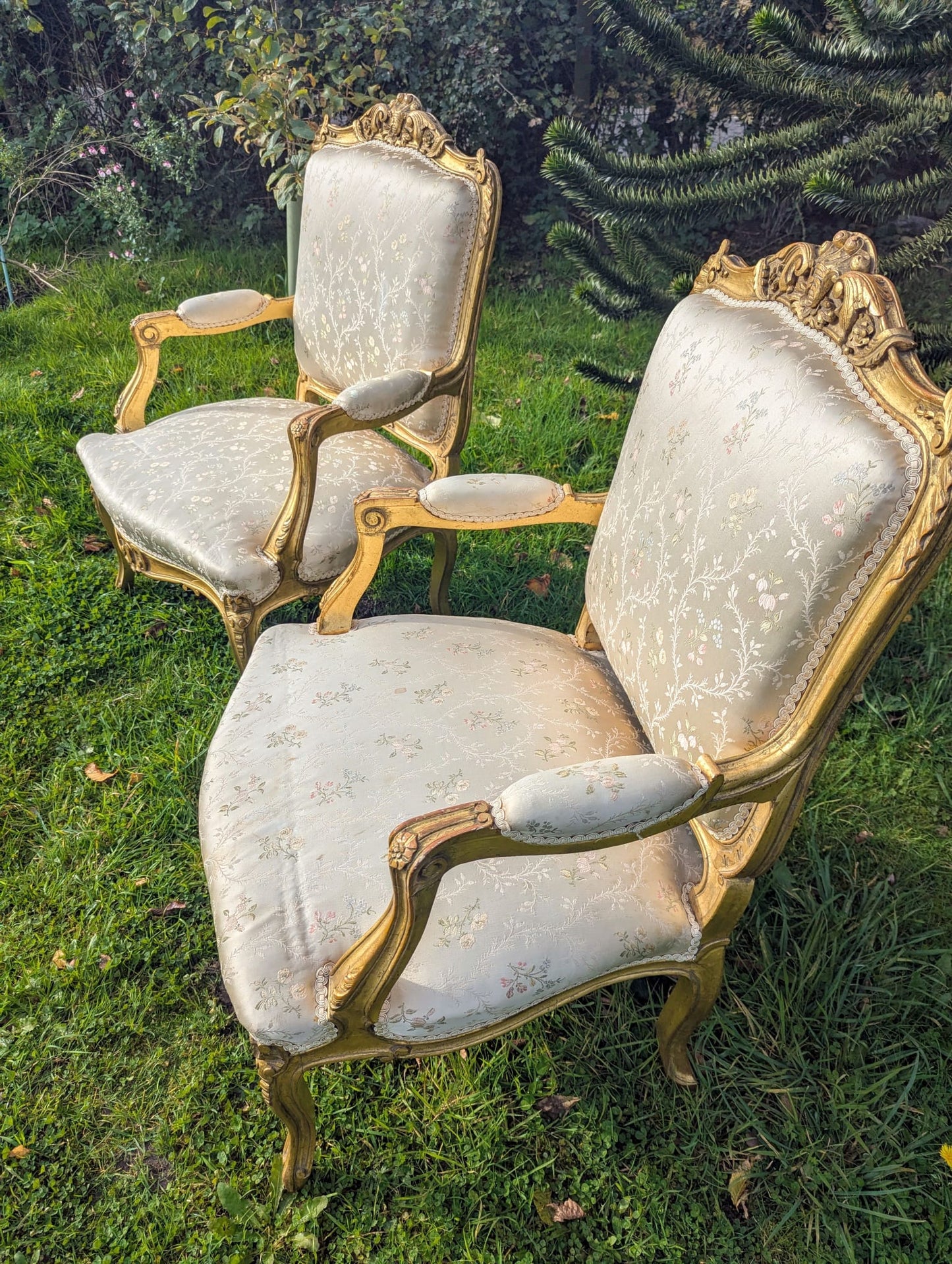 Louis XV style Chairs Silk Floral Upholstery - Delivery Available