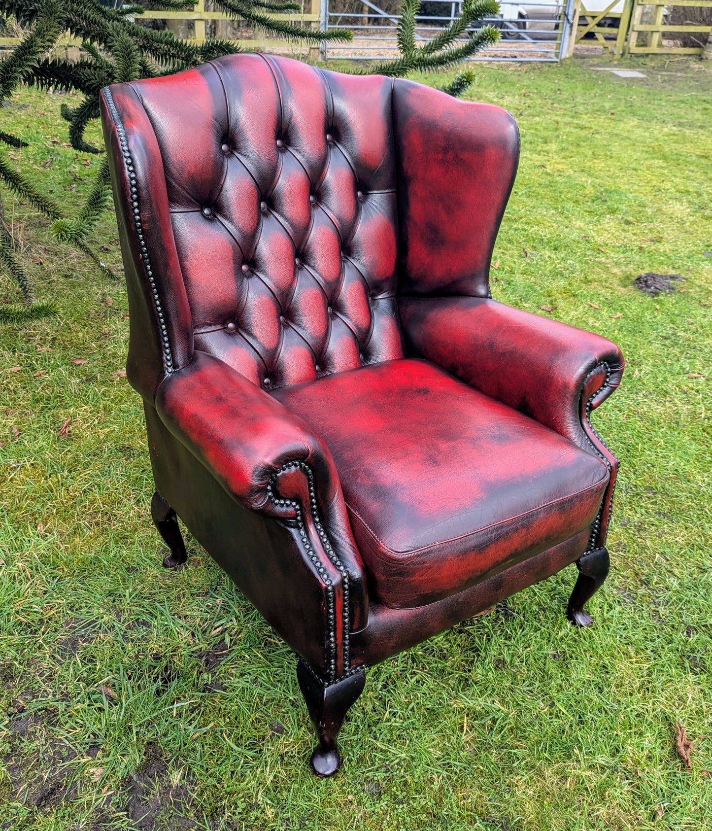 Superb Vintage Oxblood Leather Chesterfield Wingback Armchair Delivery Available