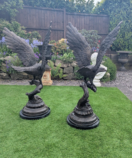 Pair of Bronze Life-sized Eagles on marble bases - Delivery Available 0326