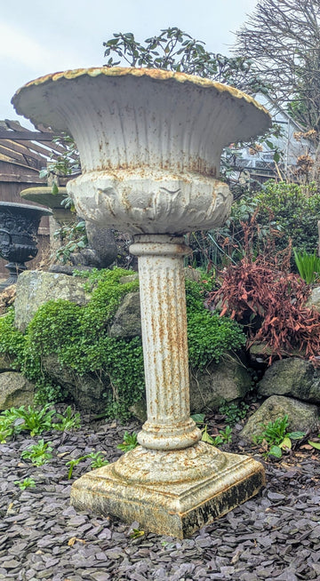 Single Mid Century cast iron Campana Urn Jardiniere - Delivery  Available 0266