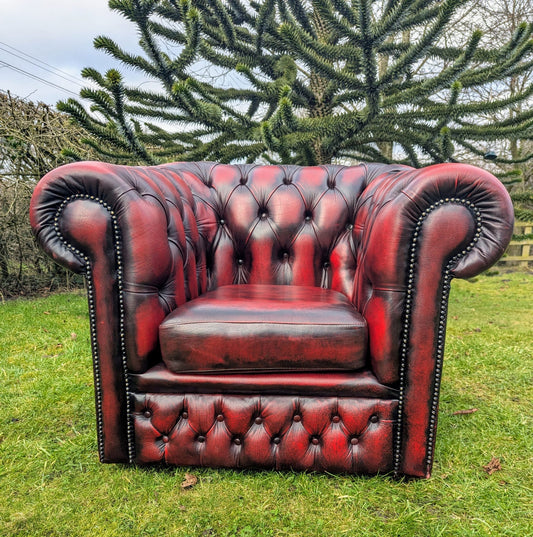 Superb Vintage Oxblood Leather Chesterfield Club Chair  - Delivery Available