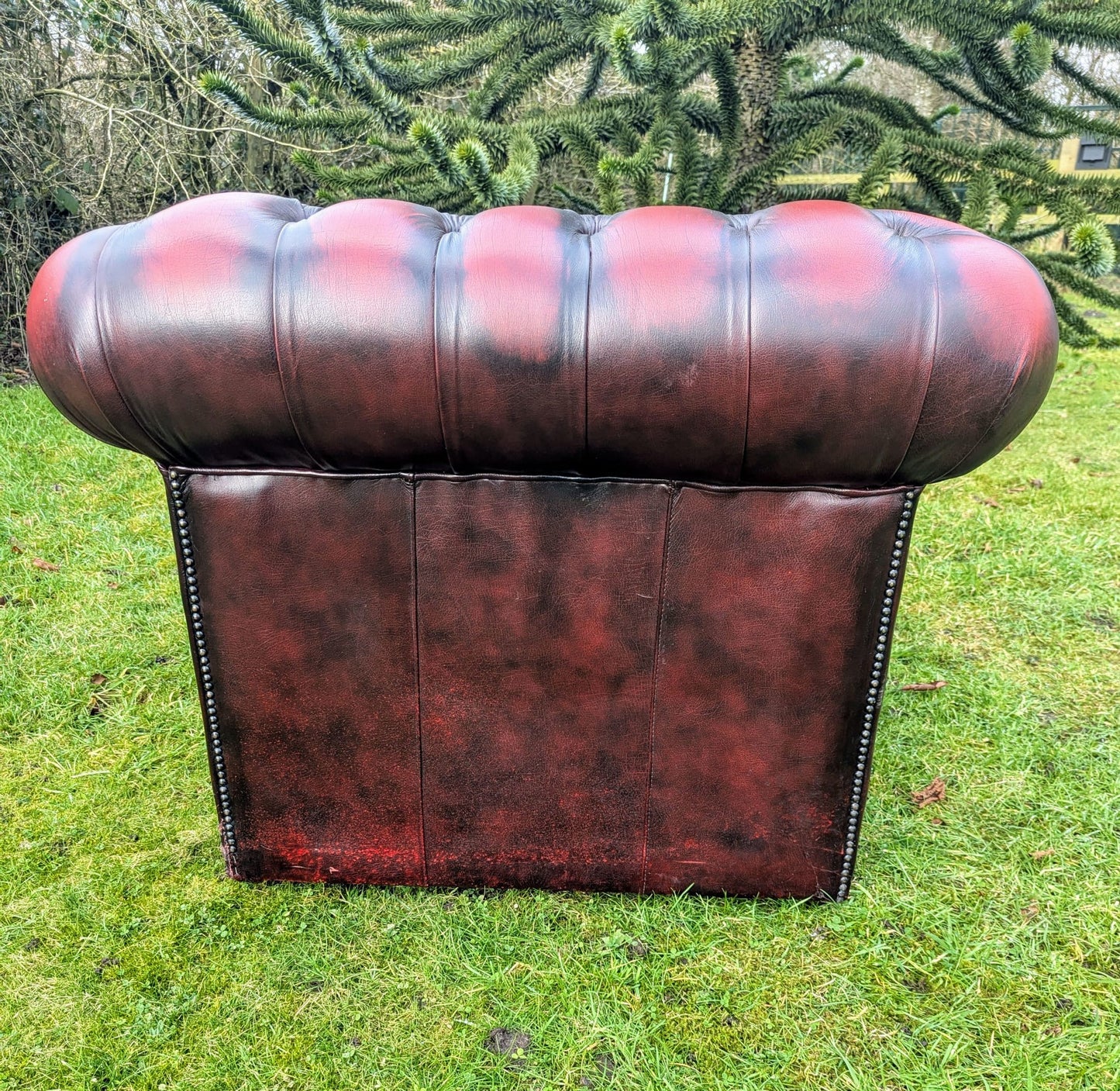 Superb Vintage Oxblood Leather Chesterfield Club Chair  - Delivery Available