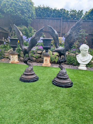 Pair of Bronze Life-sized Eagles on marble bases - Delivery Available 0326