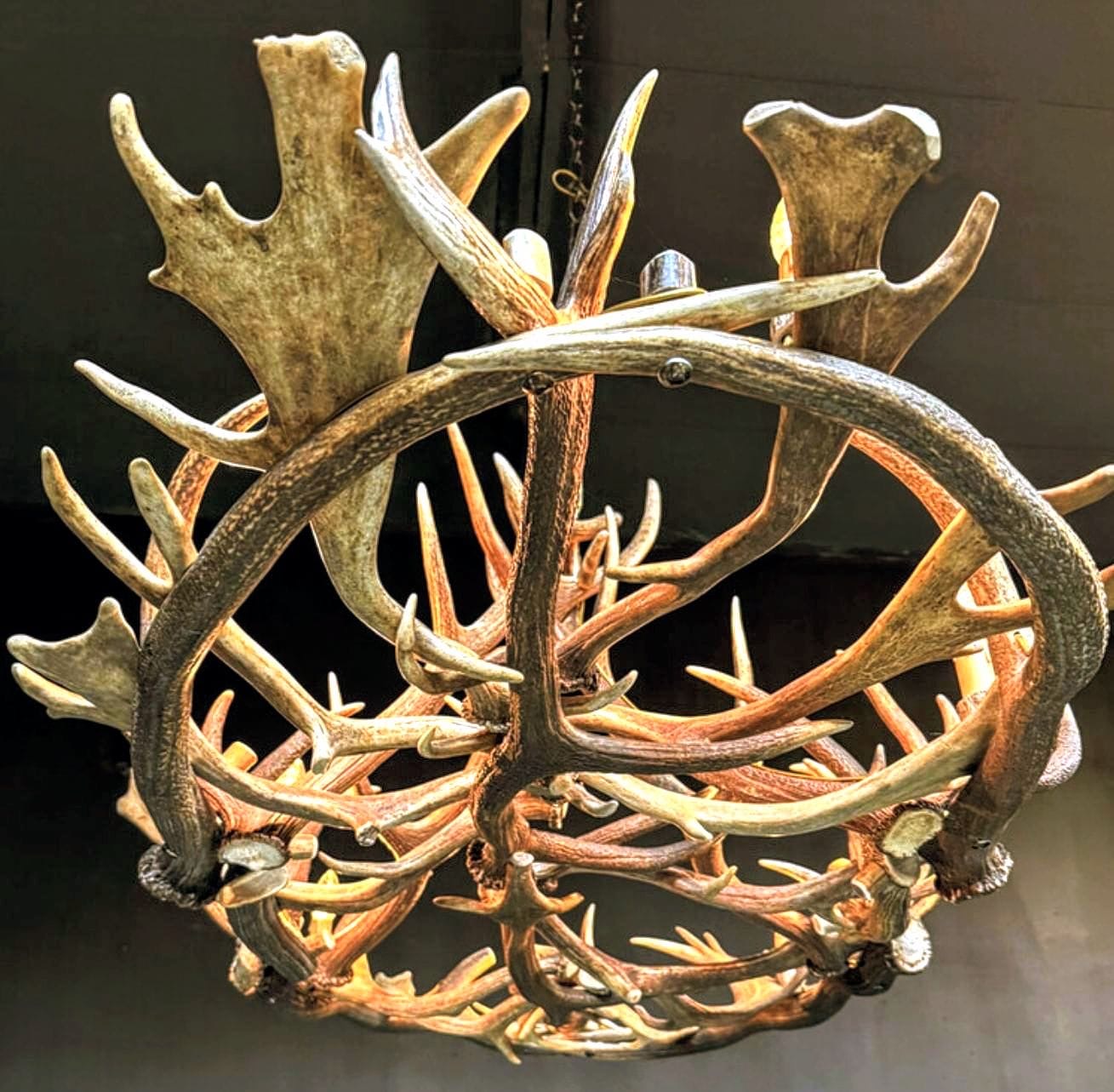 Vintage Oval Rustic Antler Chandelier 8 Lamps - Delivery Available