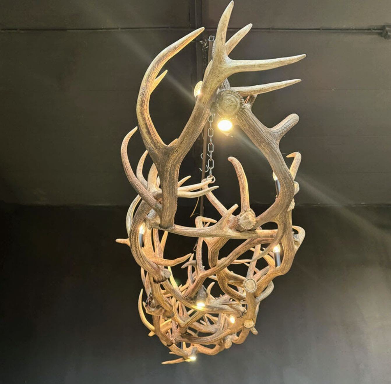 Vintage Red deer Antler chandelier 10 Lamps & 3 spot lights - UK delivery available