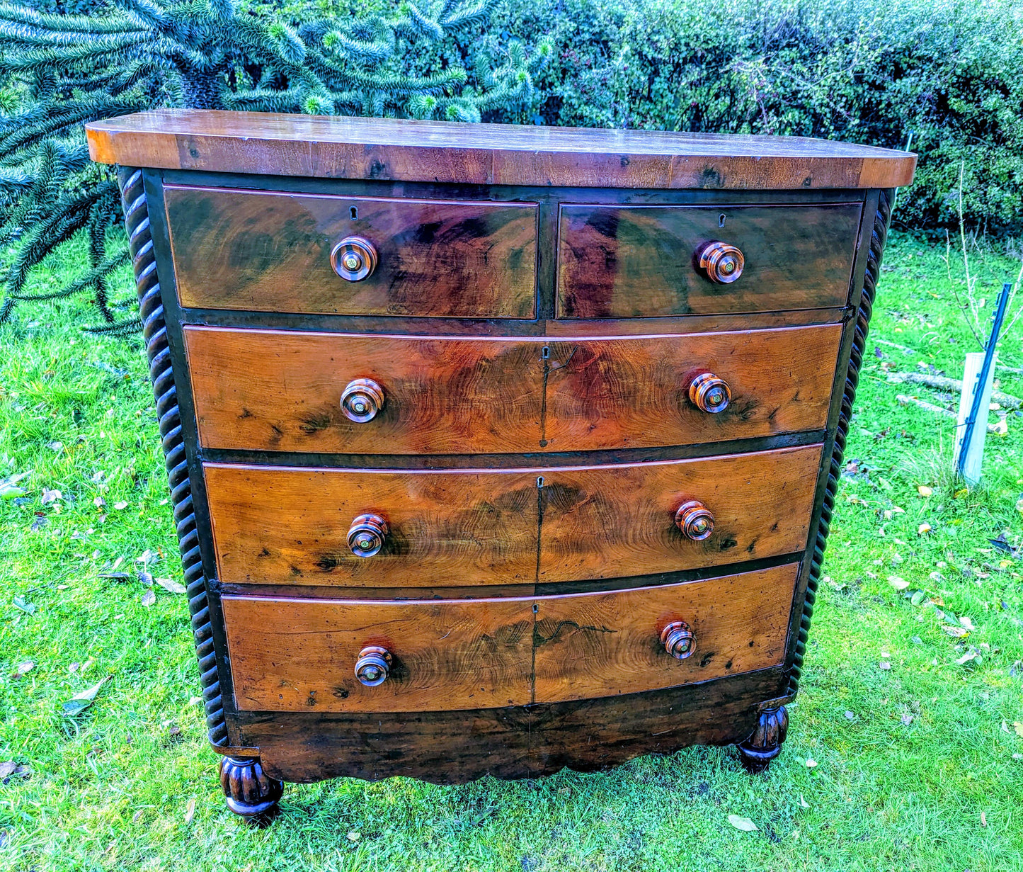 Victorian bow fronted 2 short over 3 long chest of  drawers - Free UK Delivery