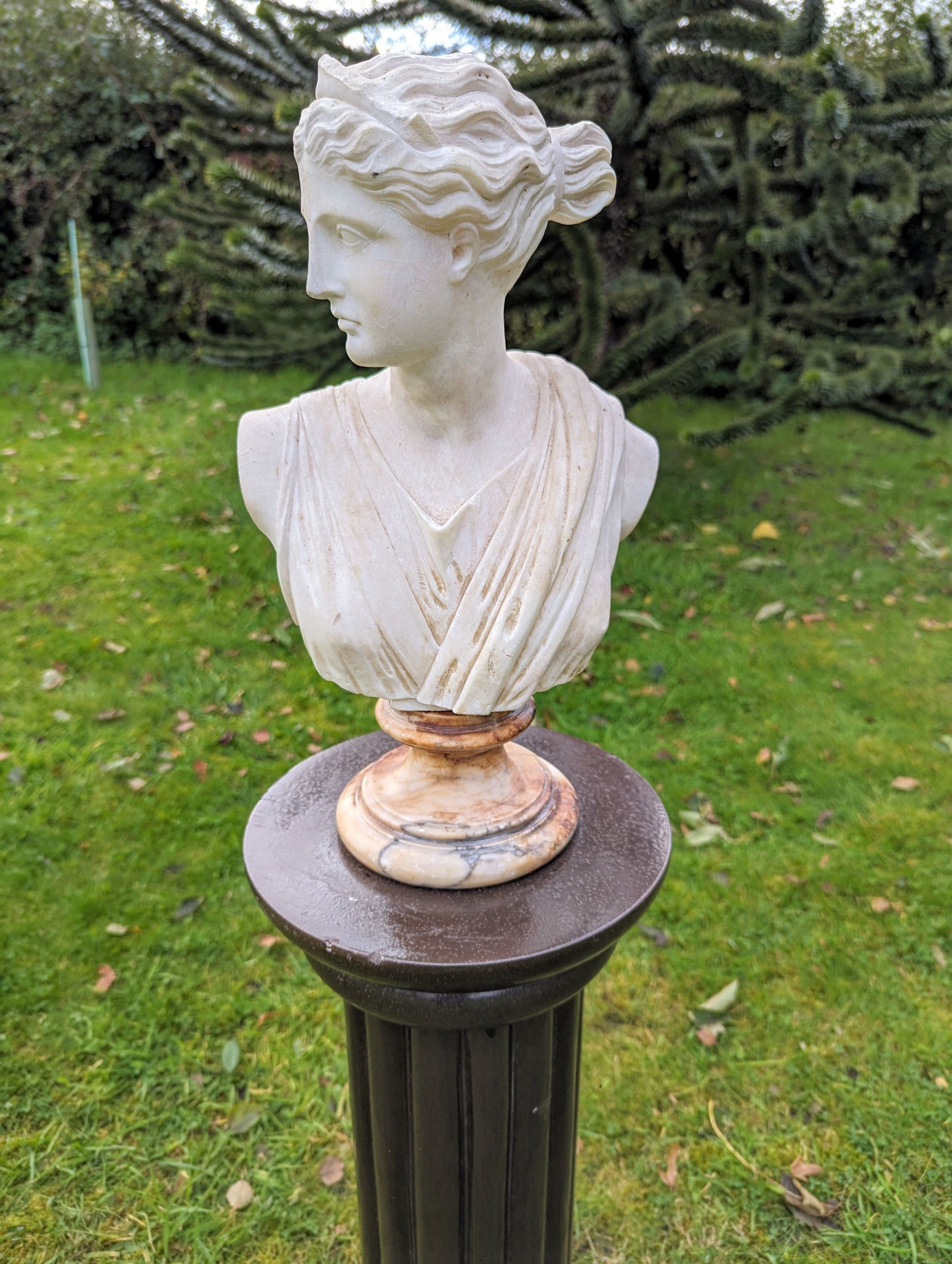 Antique MARBLE BUST APHRODITE ON ALABASTER SOCLE