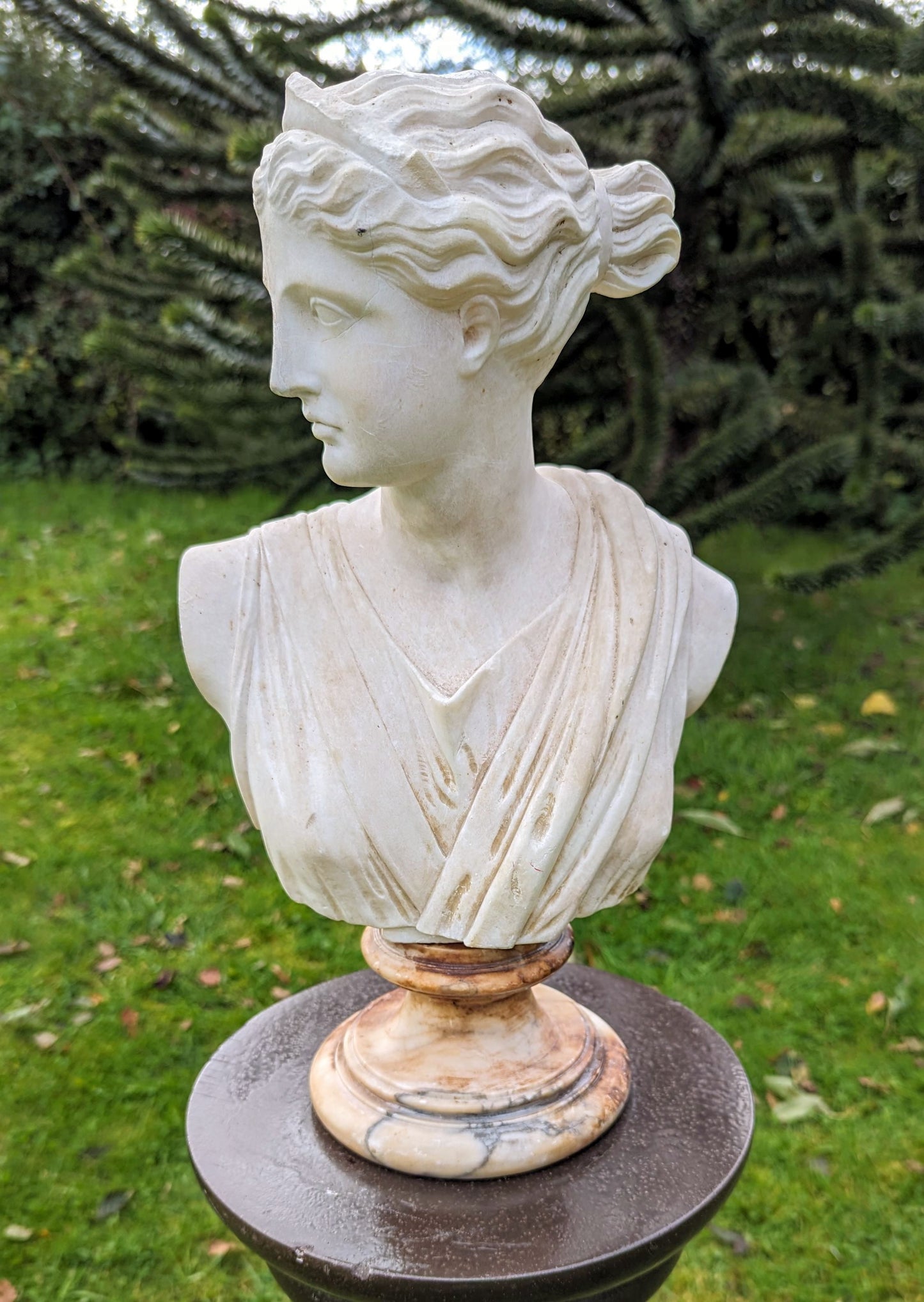 Antique MARBLE BUST APHRODITE ON ALABASTER SOCLE