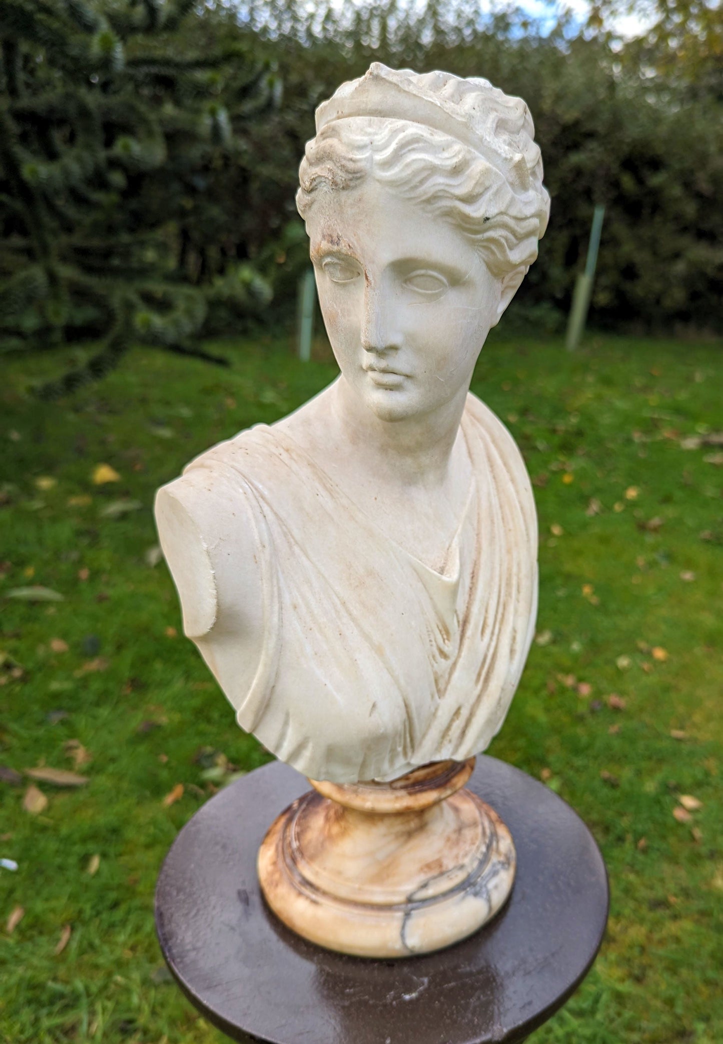 Antique MARBLE BUST APHRODITE ON ALABASTER SOCLE