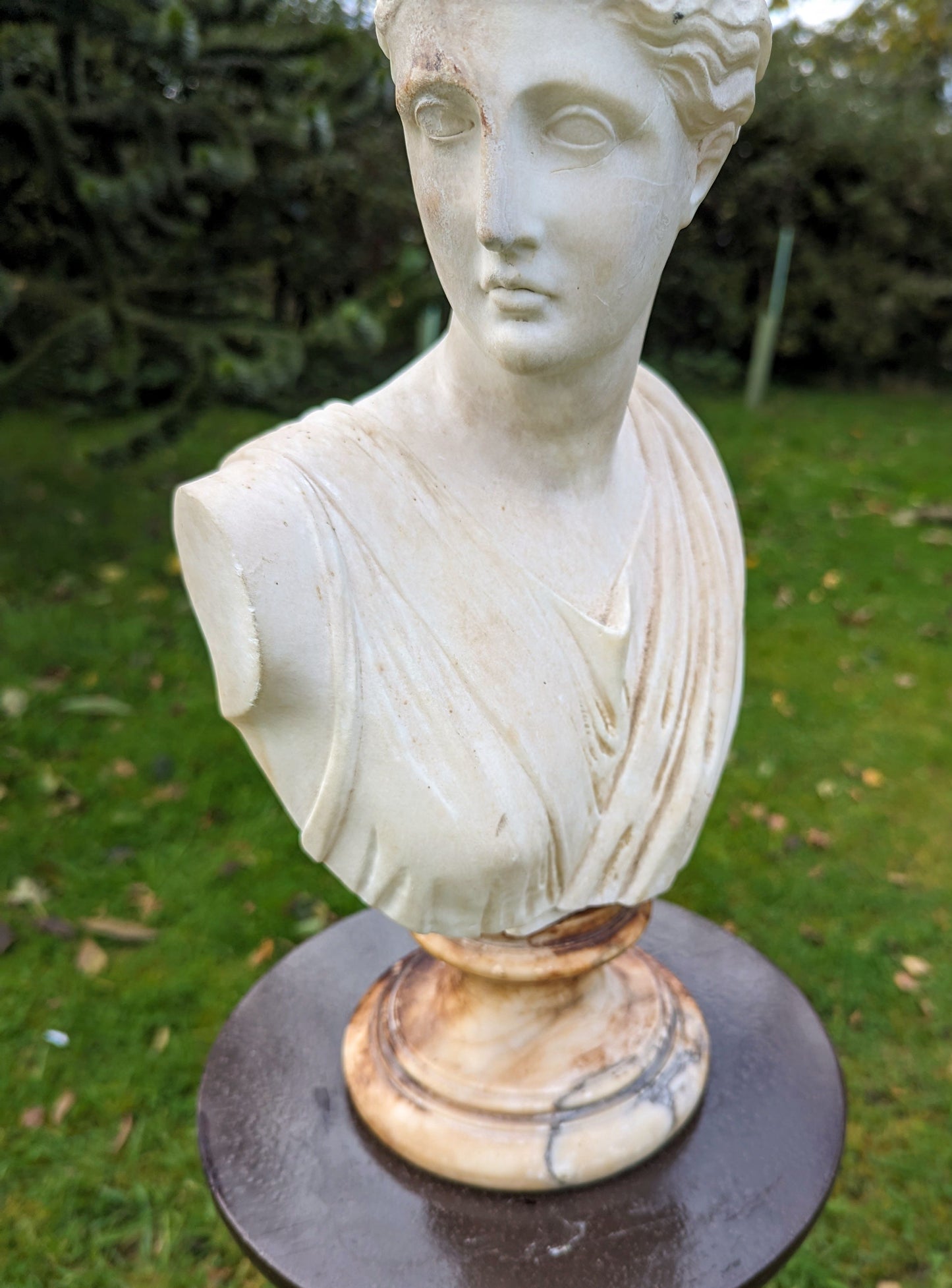 Antique MARBLE BUST APHRODITE ON ALABASTER SOCLE