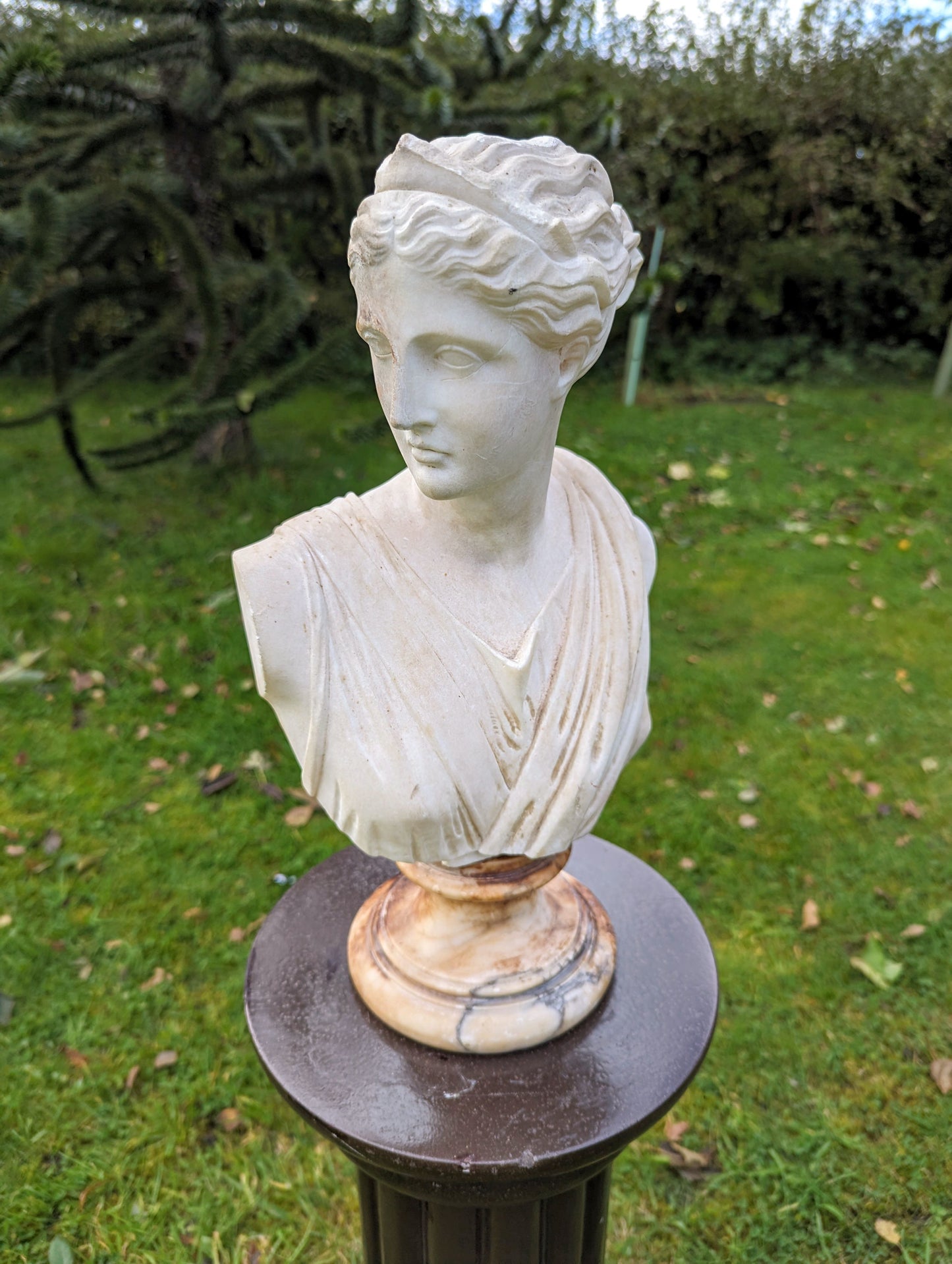 Antique MARBLE BUST APHRODITE ON ALABASTER SOCLE