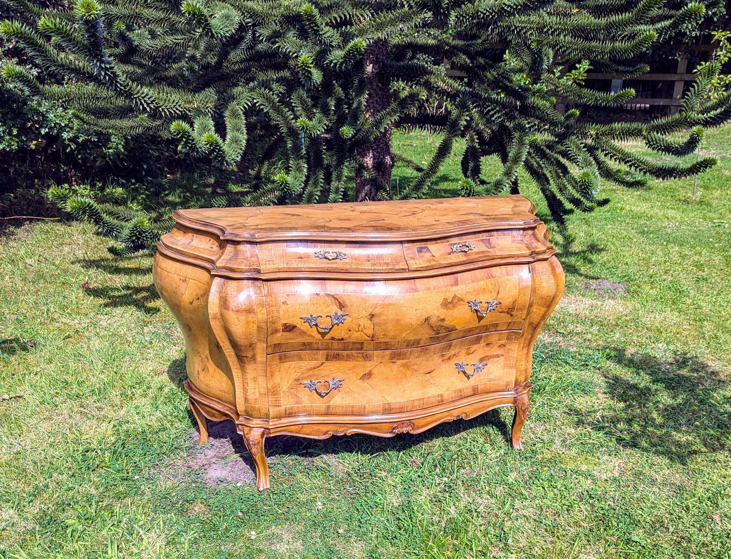 Stunning Italian Bombe Commode Olive Wood,Cast Ormolu Mounts- Delivery Available