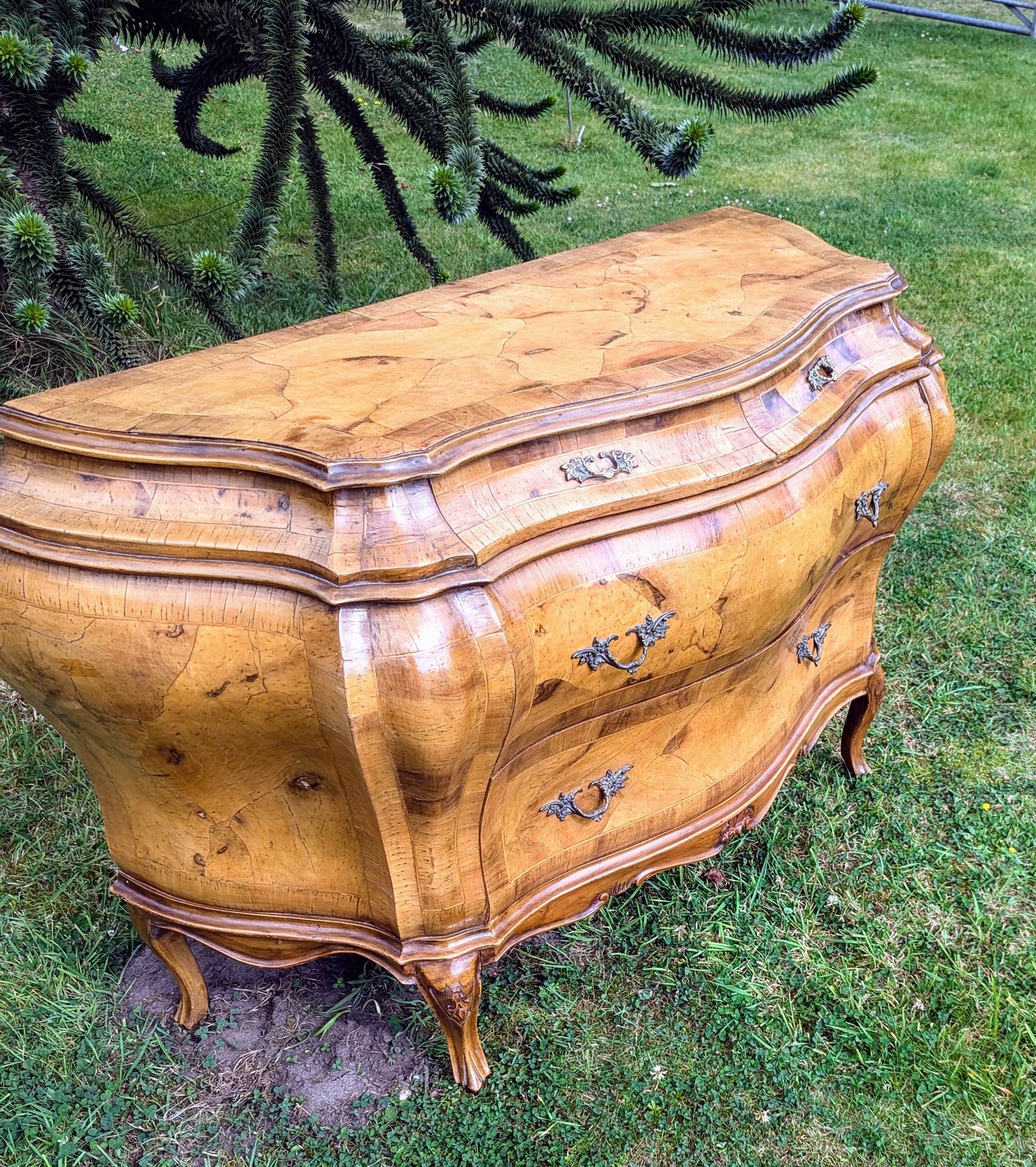 Stunning Italian Bombe Commode Olive Wood,Cast Ormolu Mounts- Delivery Available