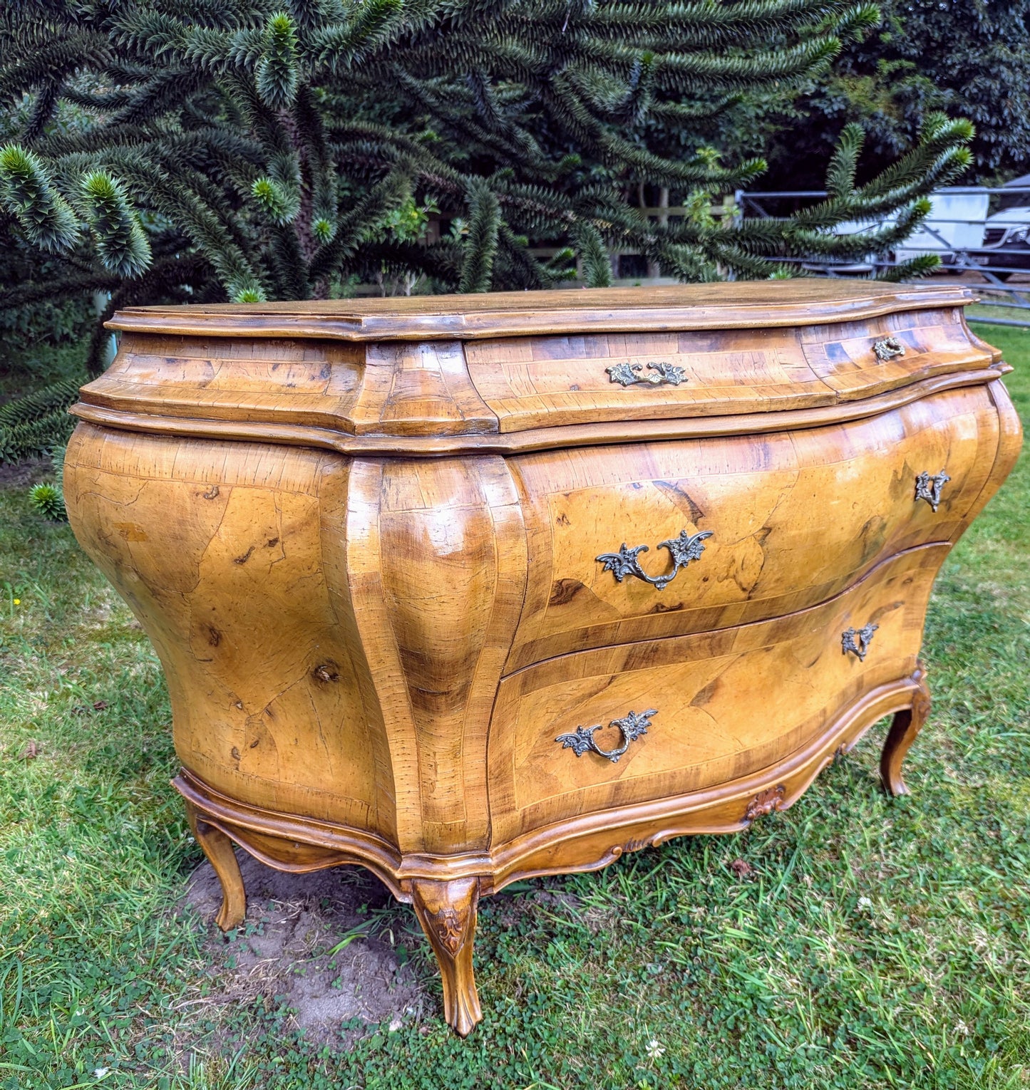 Stunning Italian Bombe Commode Olive Wood,Cast Ormolu Mounts- Delivery Available