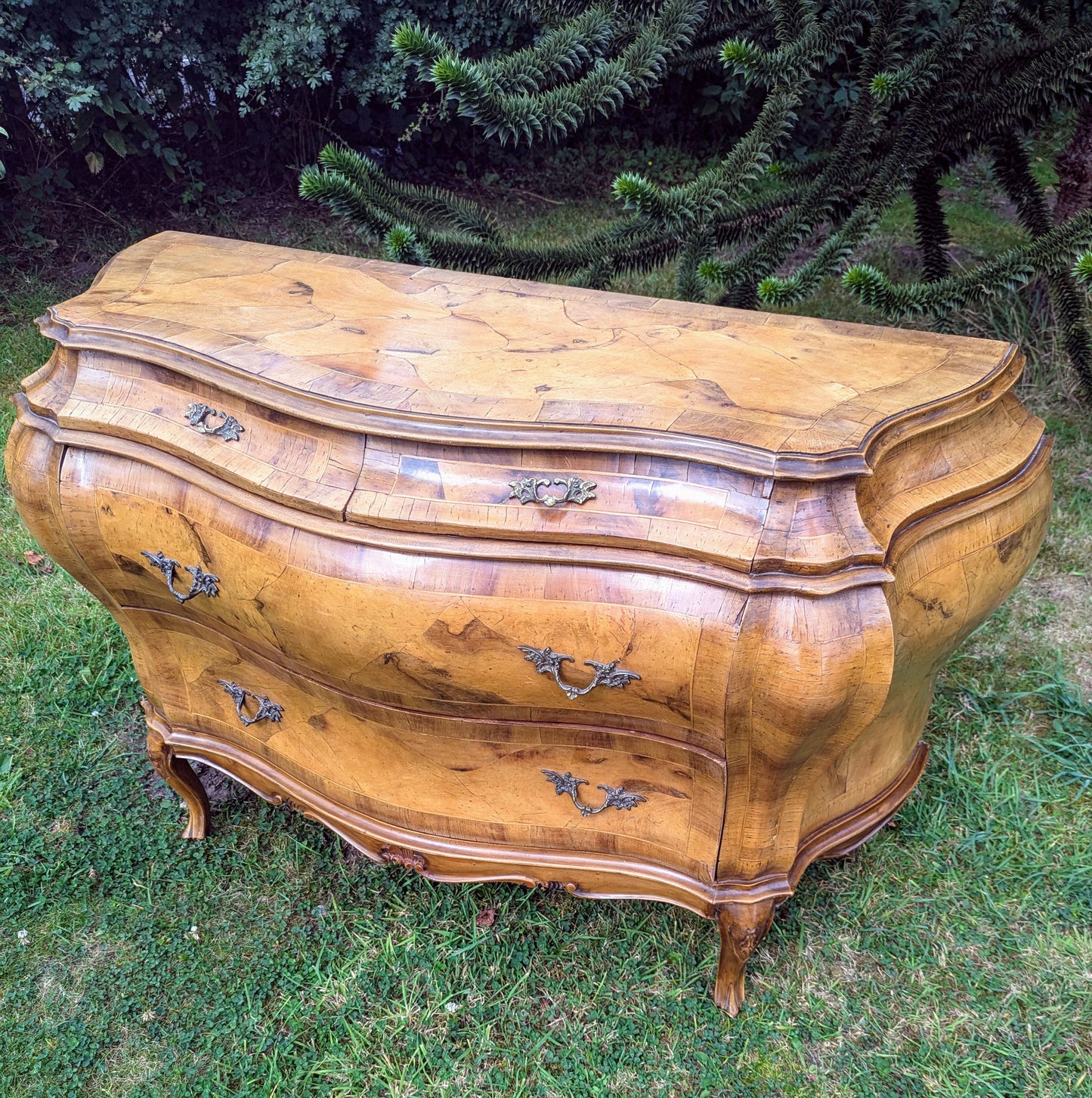 Stunning Italian Bombe Commode Olive Wood,Cast Ormolu Mounts- Delivery Available